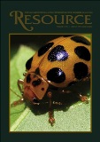 resource-ladybug-113